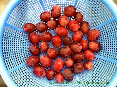 IMG_1688 how to wash grapes