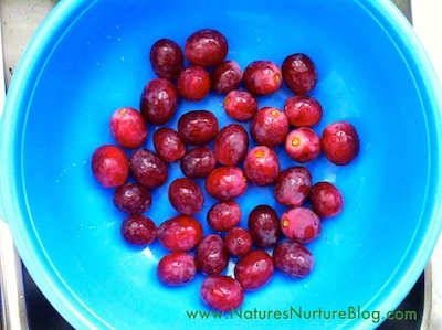 IMG_1689 how to wash grapes