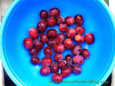 IMG_1690 how to wash grapes