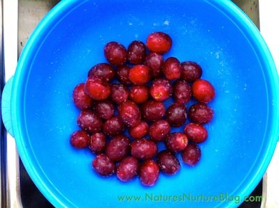 IMG_1692 how to wash grapes