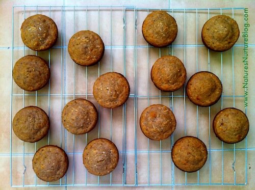 IMG_2241 dandelion blossom muffins