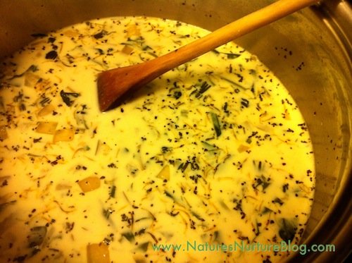 IMG_2253 cream of dandelion soup