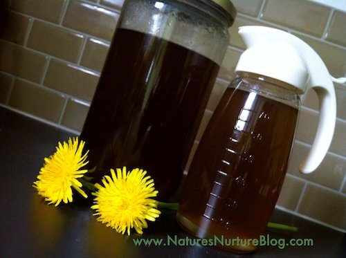 IMG_2591 Dandelion flowers are steeped overnight, then sweetened with cane sugar and raw honey, and simmered until thickened into a sweet dandelion syrup. Perfect for waffles and pancakes!