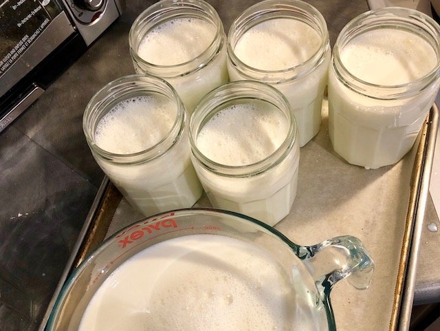 Making homemade yogurt is easier, cheaper, and healthier than store-bought! Try this recipe for plain yogurt and learn how to make thick Greek yogurt too!