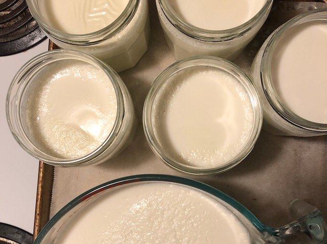 Making homemade yogurt is easier, cheaper, and healthier than store-bought! Try this recipe for plain yogurt and learn how to make thick Greek yogurt too!
