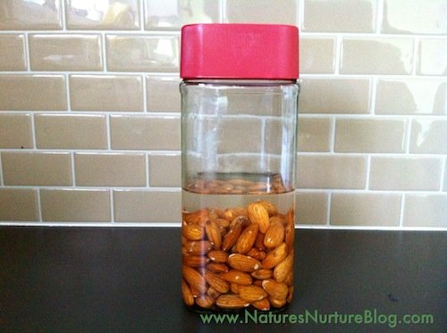 IMG_3289 homemade almond milk