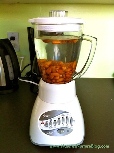 IMG_3290 homemade almond milk