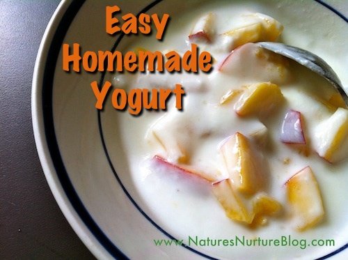 homemade yogurt