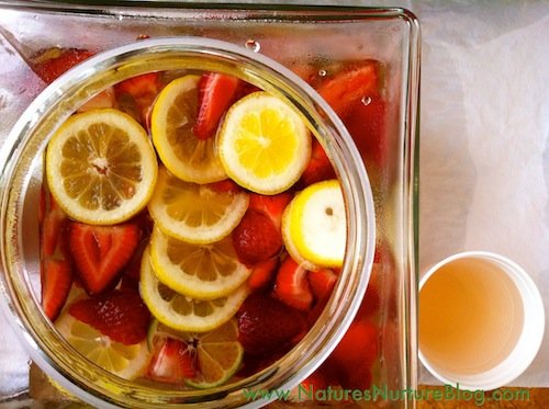 homemade vitamin water
