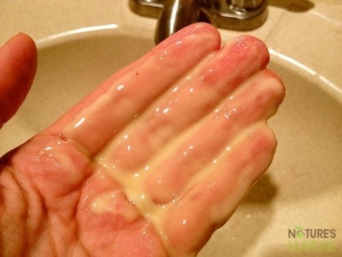 Treat your skin to this exfoliating, cleansing honey mask made with just 2 simple ingredients! All&nbsp;natural, and a great addition to your skin care routine.