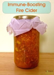 Fire Cider for Cold and Flu Season