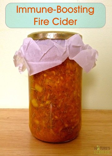 Fire Cider for Cold and Flu Season