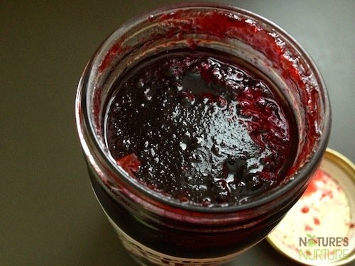 Elderberry Life Products Review