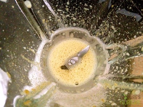Homemade Mayo