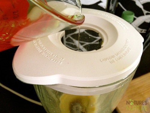 Homemade Mayo
