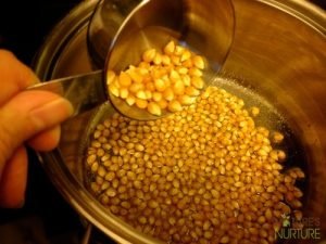 Homemade Stovetop Popcorn