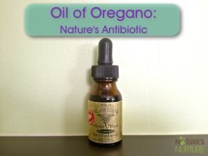 Oil of Oregano - Nature's Antibiotic