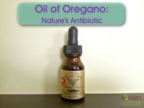 Oil of Oregano - Nature's Antibiotic
