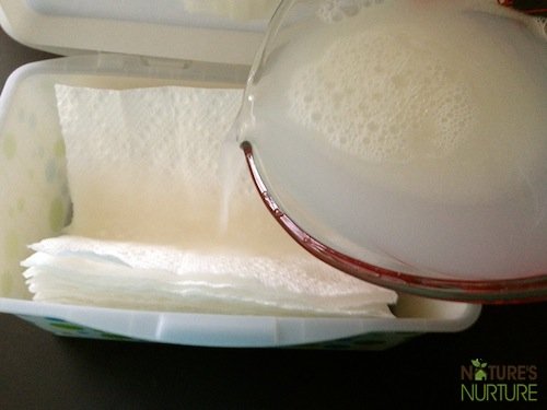 Homemade Natural Baby Wipes