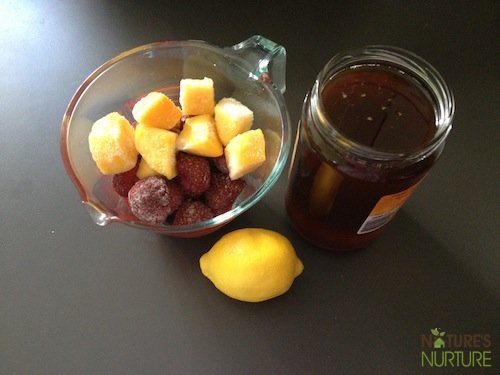 Homemade Fruit Popsicles IMG_2620