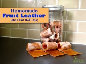 Homemade Fruit Leather (aka Fruit Roll-Ups)