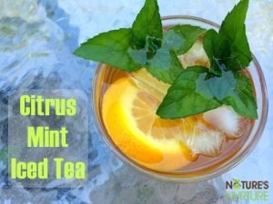 Citrus Mint Iced Tea