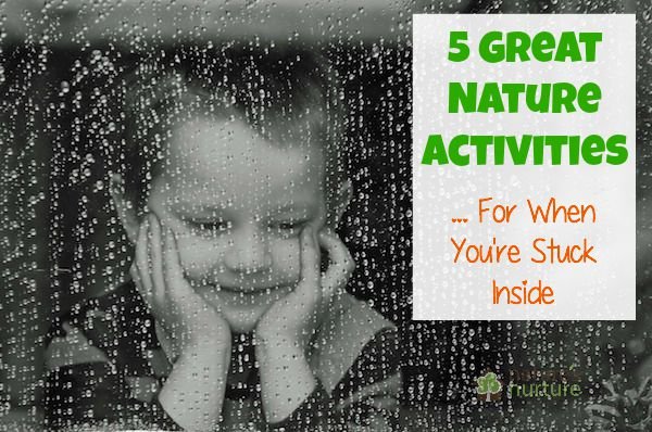 Nature Activities When Stuck Inside