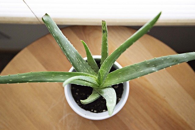 How to Create a Non-Toxic Bedroom for a healthier, more restful sleep!