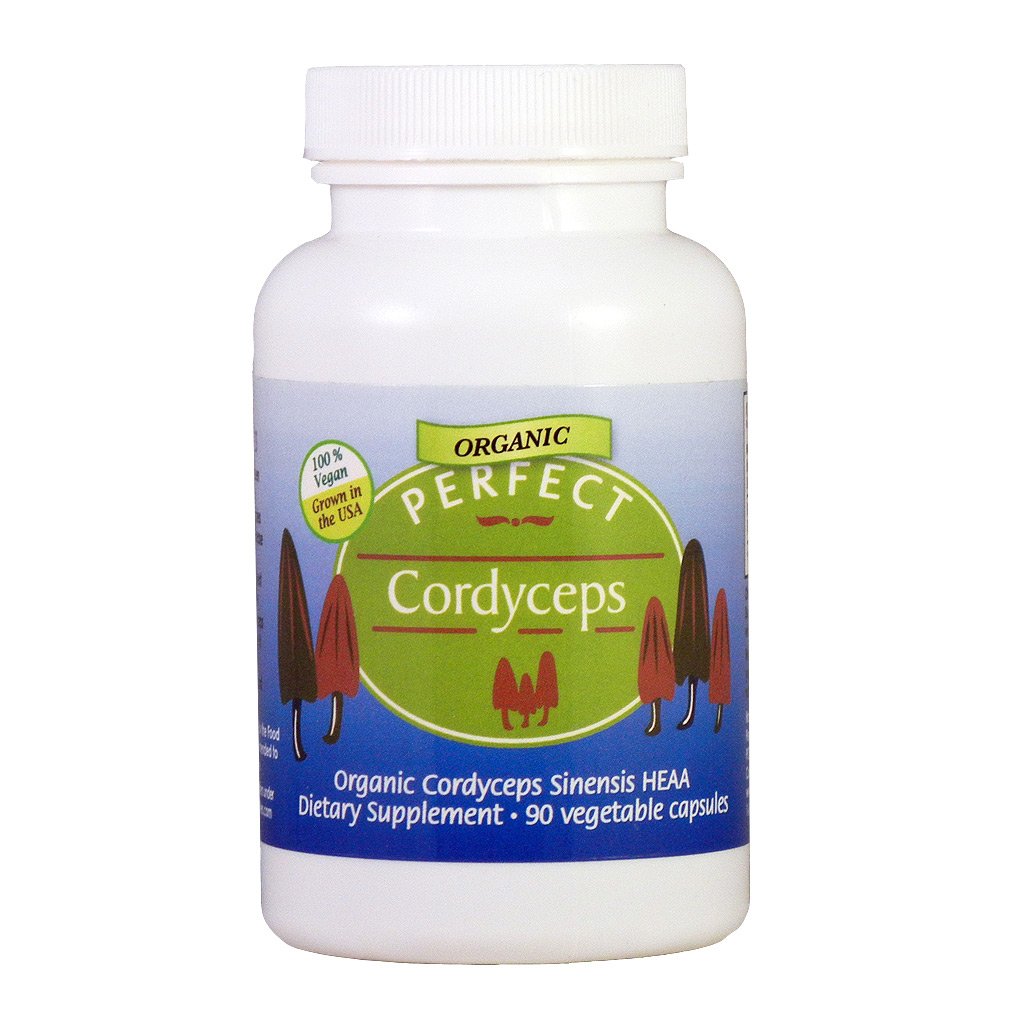 Corcyceps Sinensis - Adaptogenic Herbs for Stress, Energy, and Better Sleep