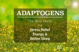 Adaptogenic Herbs for Stress Relief, Energy, and Better Sleep