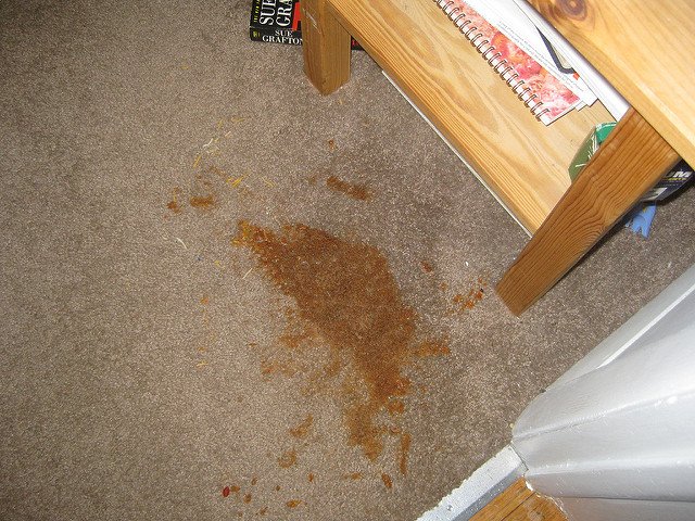 Make your own non-toxic carpet stain remover! Tackle even the toughest carpet stains with a few simple ingredients you probably already have at home.
