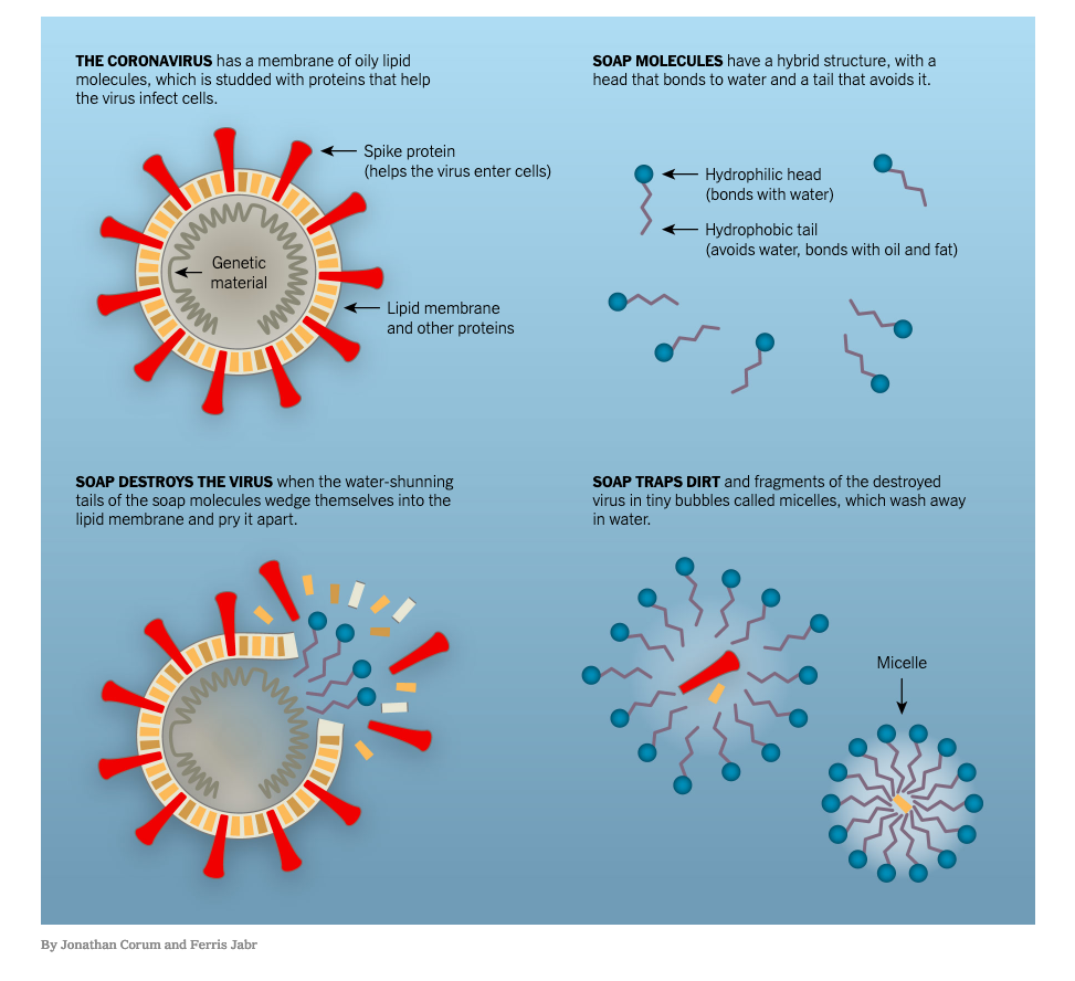 How to use natural cleaning and disinfecting products during the coronavirus pandemic, while still following guidelines from the CDC and Health Canada.